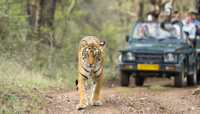 Wildlife Tours in Uttarakhand